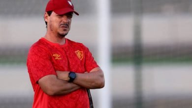 Photo of إقالة مدرب منتخب البرازيل فرناندو دينيز