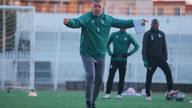 Photo of “سونلغاز” تنهي عقد المدرب بن دريس وتعلن خليفته